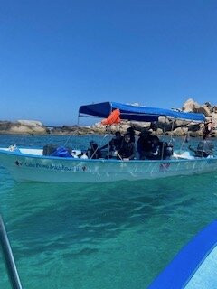 Freediving Cabo Pulmo-Cabo Pulmo必去景点