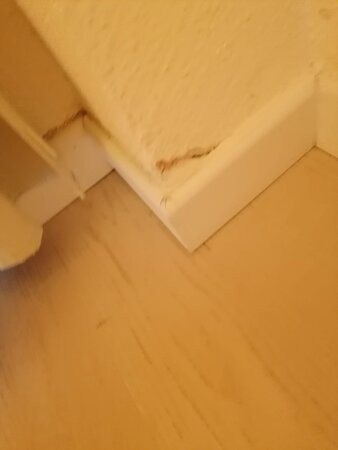 伊波罗之星阿尔布费拉公园酒店主图