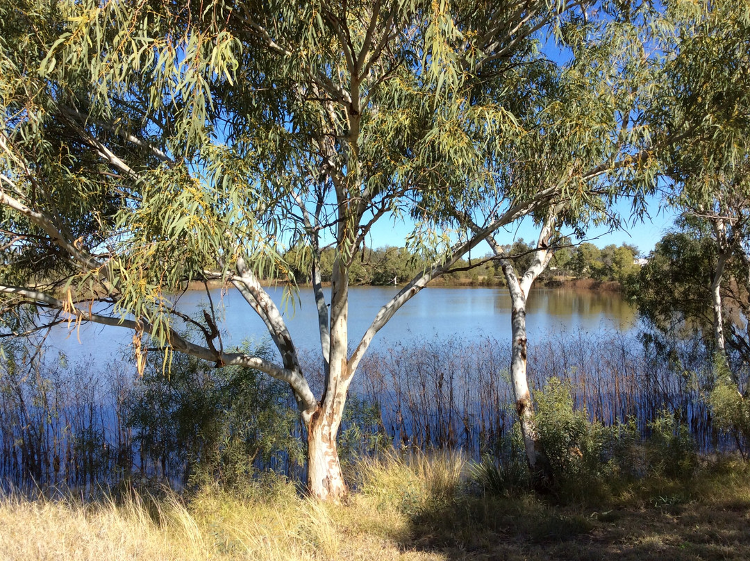 Roma Bush Gardens-Roma必去景点