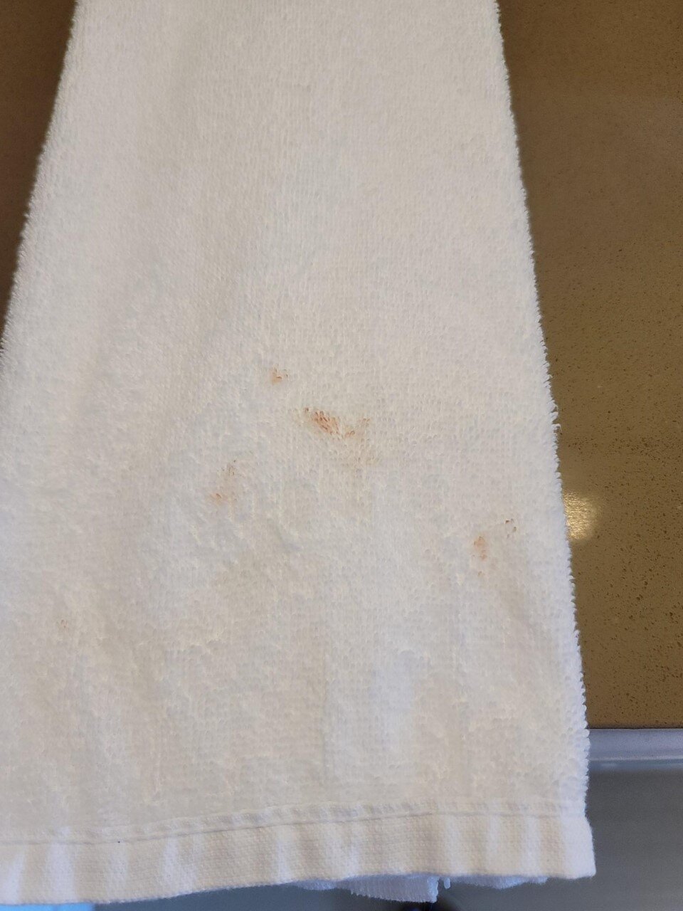 Hyatt House Philadelphia/Plymouth Meeting-客卧