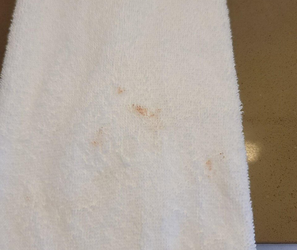 Hyatt House Philadelphia/Plymouth Meeting主图