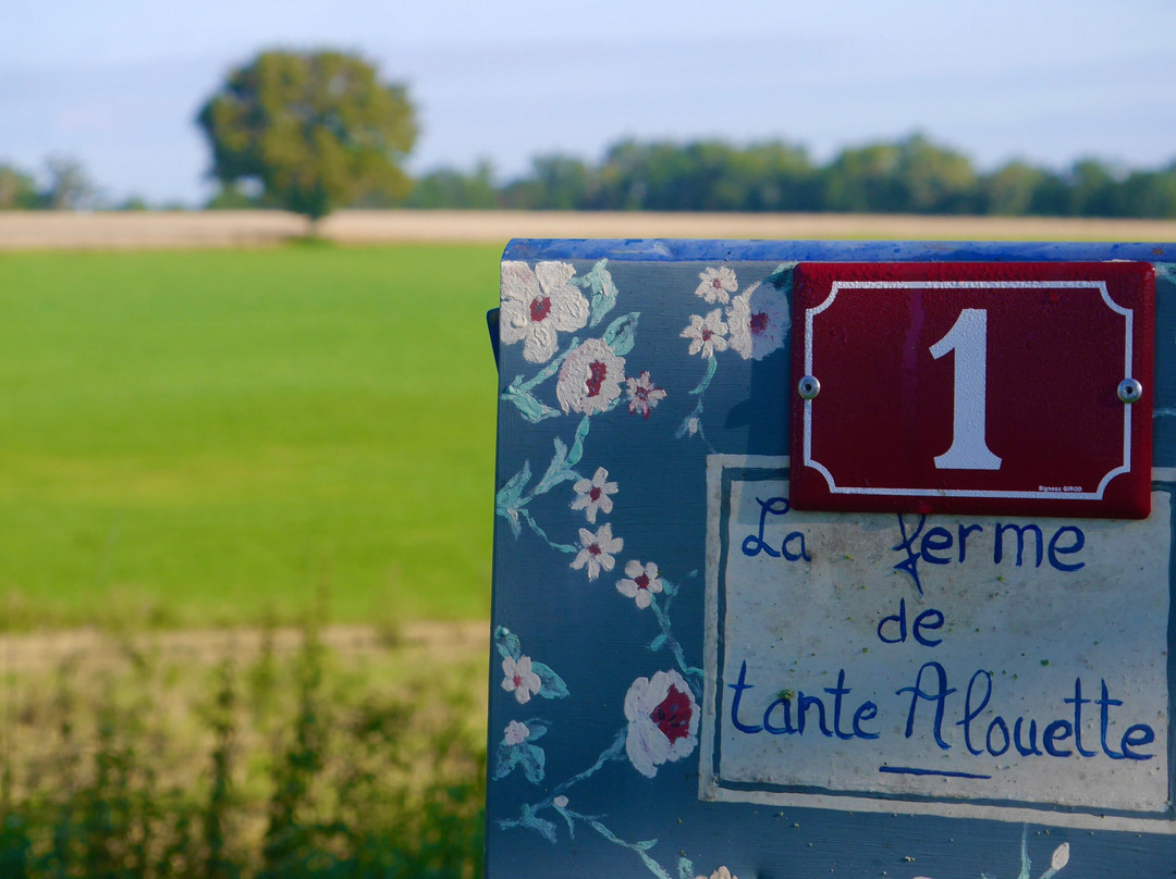 B&B La Foret