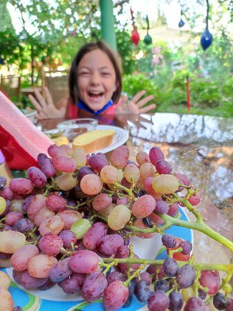 Hotel Dimitra Sun主图