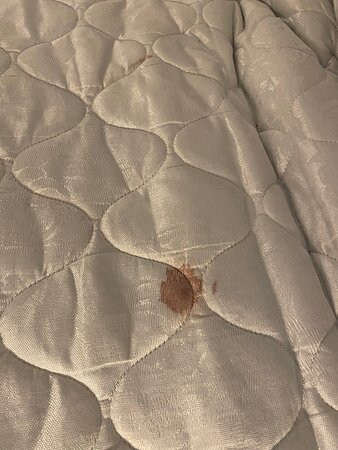 Hilton Garden Inn Twin Falls主图