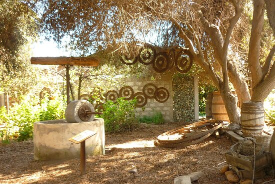 Olivos Centenarios-Huasco必去景点