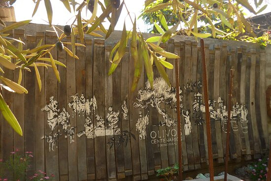 Olivos Centenarios-Huasco必去景点