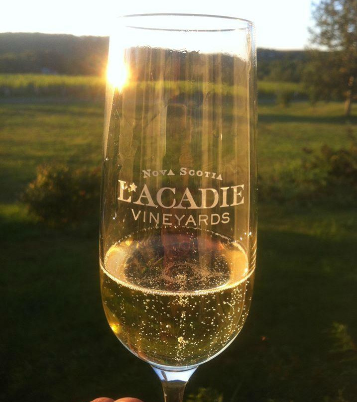 L’Acadie Vineyards景点图片