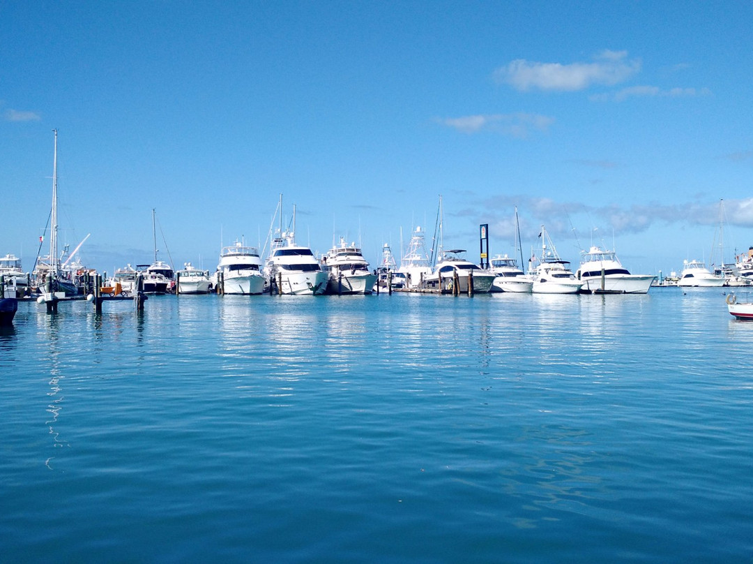 Key West Historic Seaport景点图片