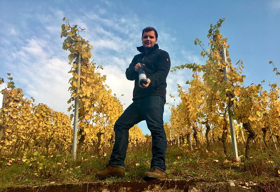 Reil酒店住宿-Weingut Arns