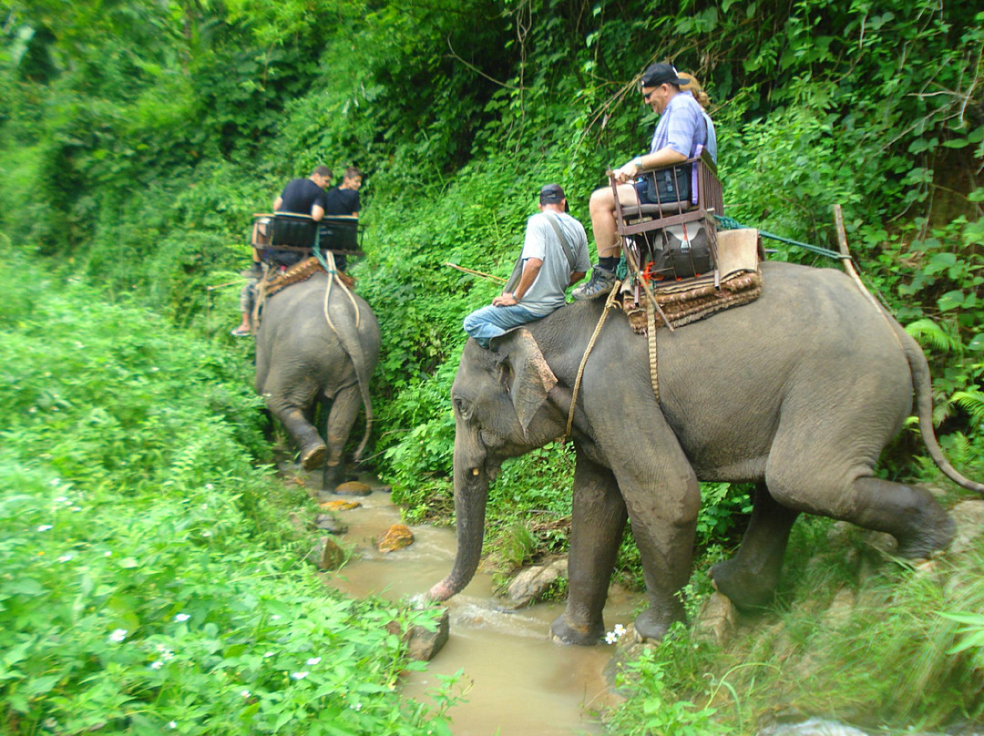 Golden Triangle Tours - Day Tours-清莱必去景点