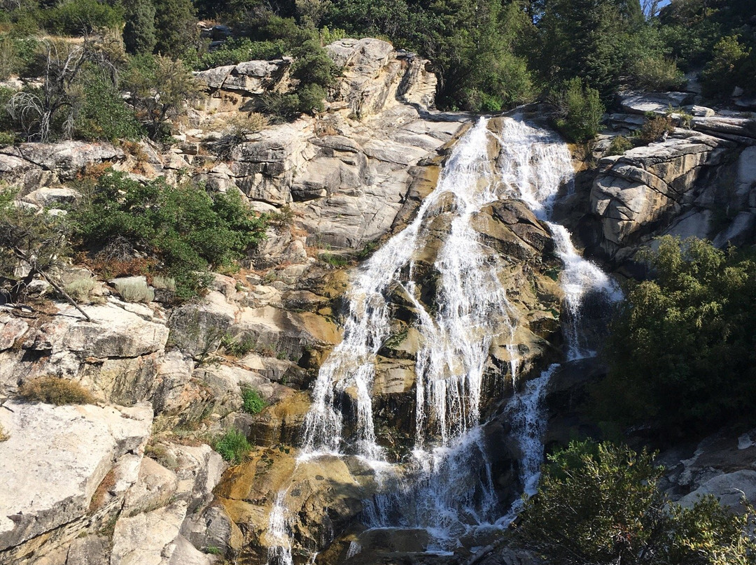 Alpine旅游攻略图片