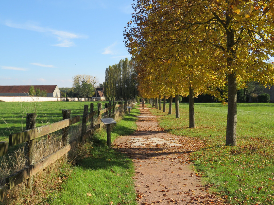 Saint-Nicolas-les-Citeaux旅游攻略图片