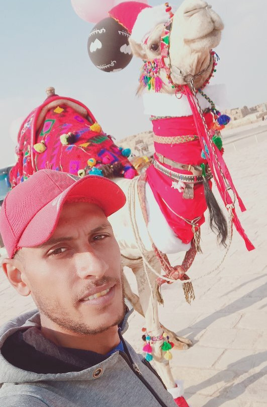 Pyramids Camel Ride-开罗必去景点