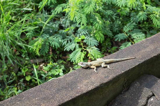 Matilde Waterfall-Alfredo Chaves必去景点
