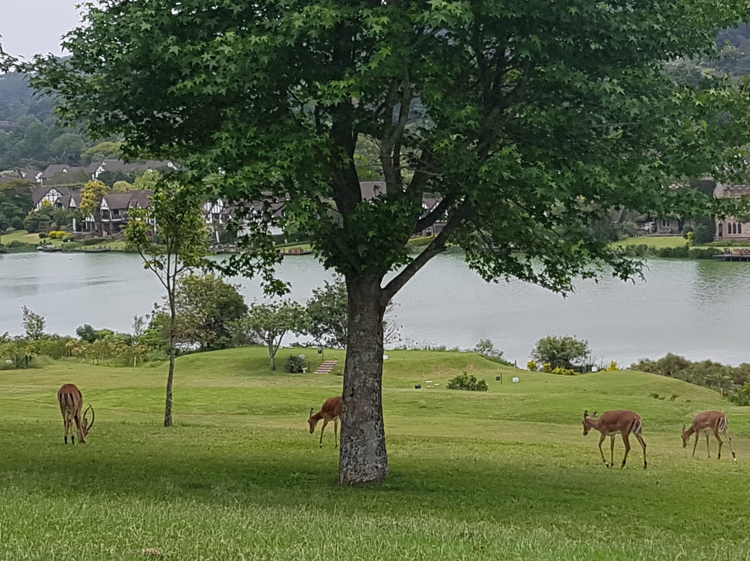 Camelot Country Club-Hillcrest必去景点