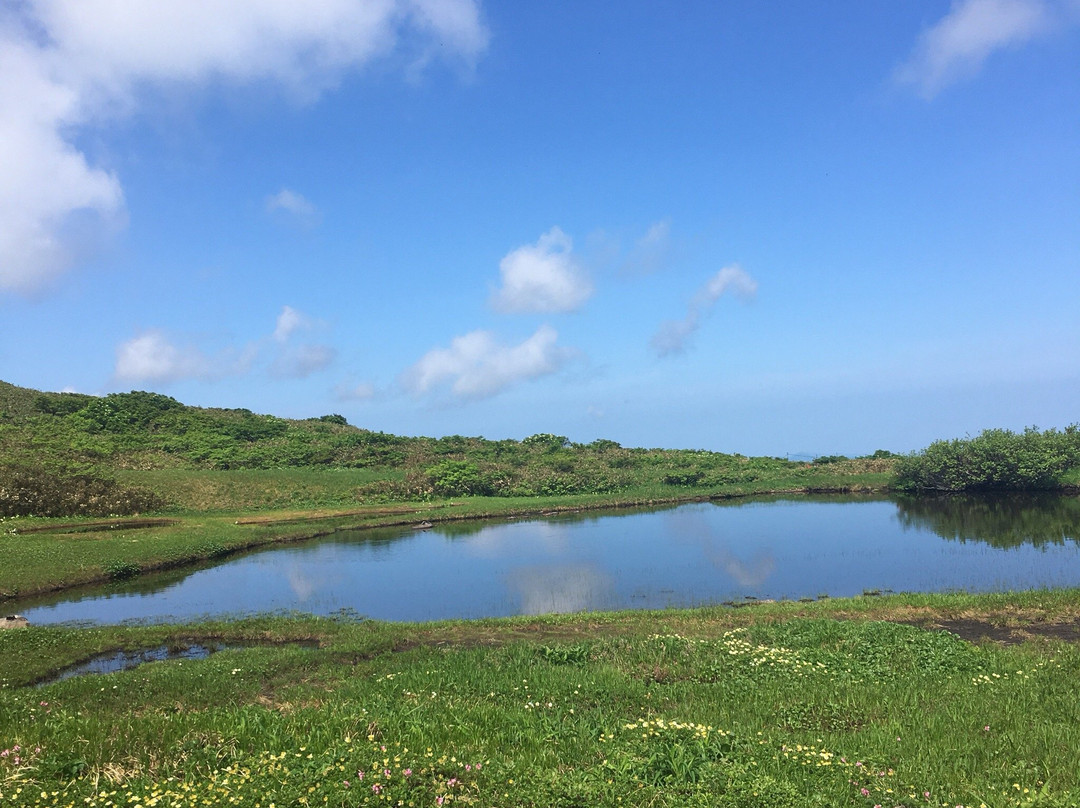 Midagahara Wetlands景点图片