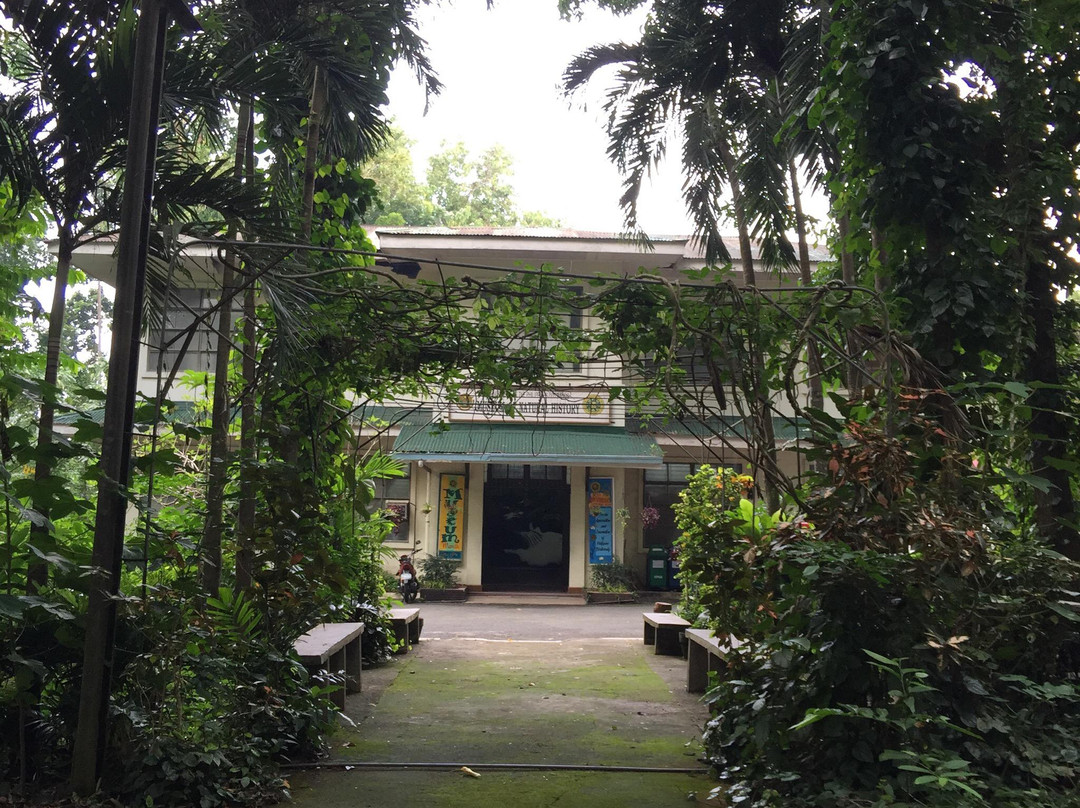 UPLB Museum of Natural History景点图片