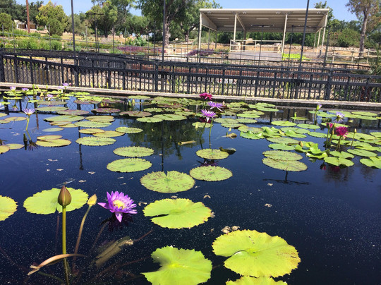 圣安吉洛旅游攻略图片