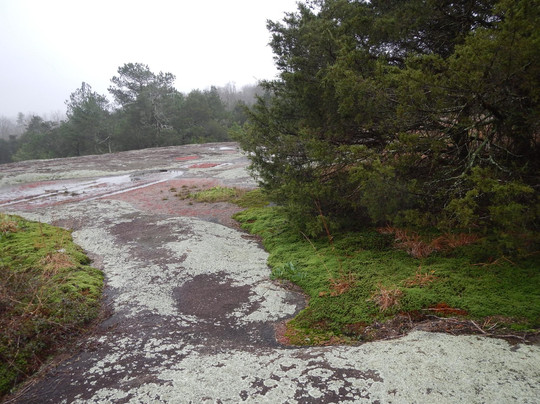 Kershaw旅游攻略图片