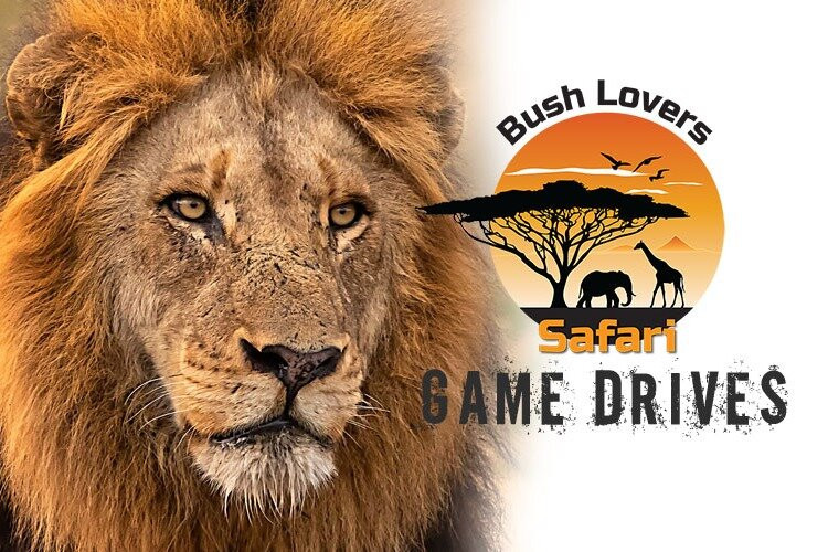 Bush Lovers Safari