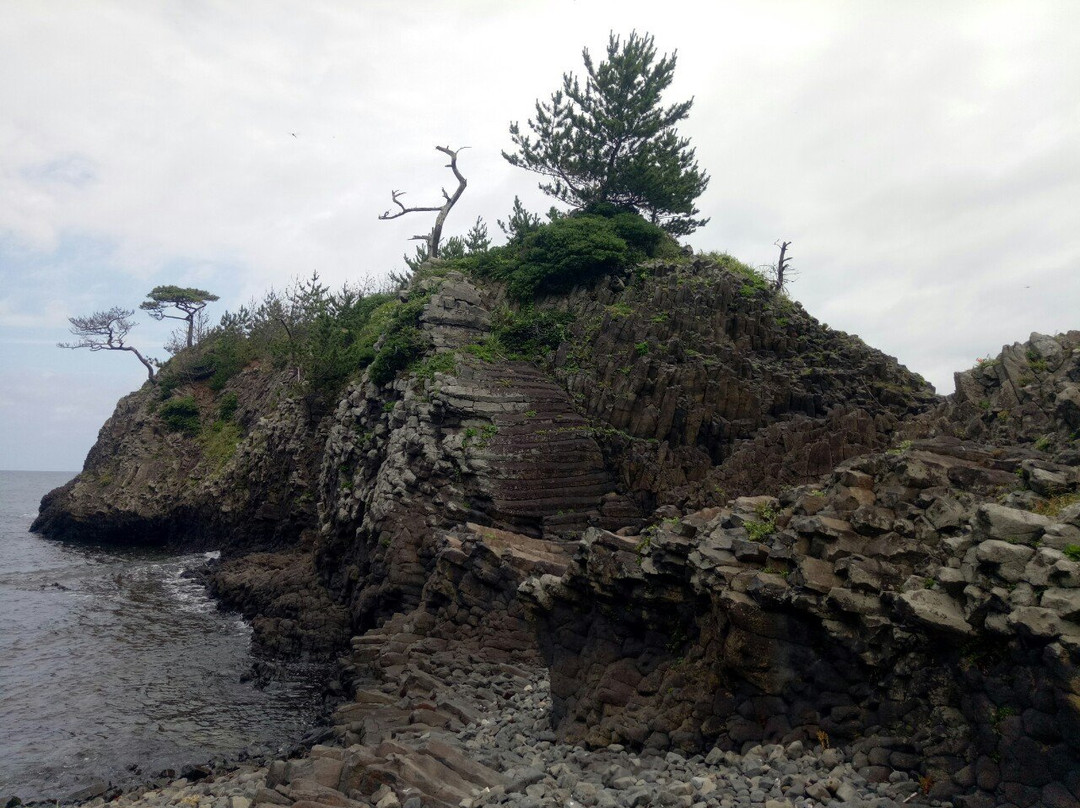 Echizen Matsushima Aquarium景点图片