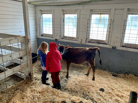 East Ryegate旅游攻略图片