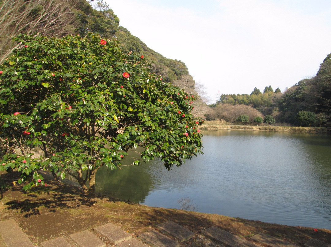 Tsubaki Park景点图片