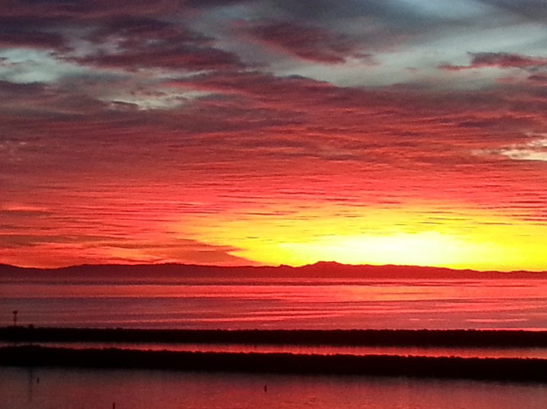 Pirate's Cove Beach-纽波特海滩必去景点