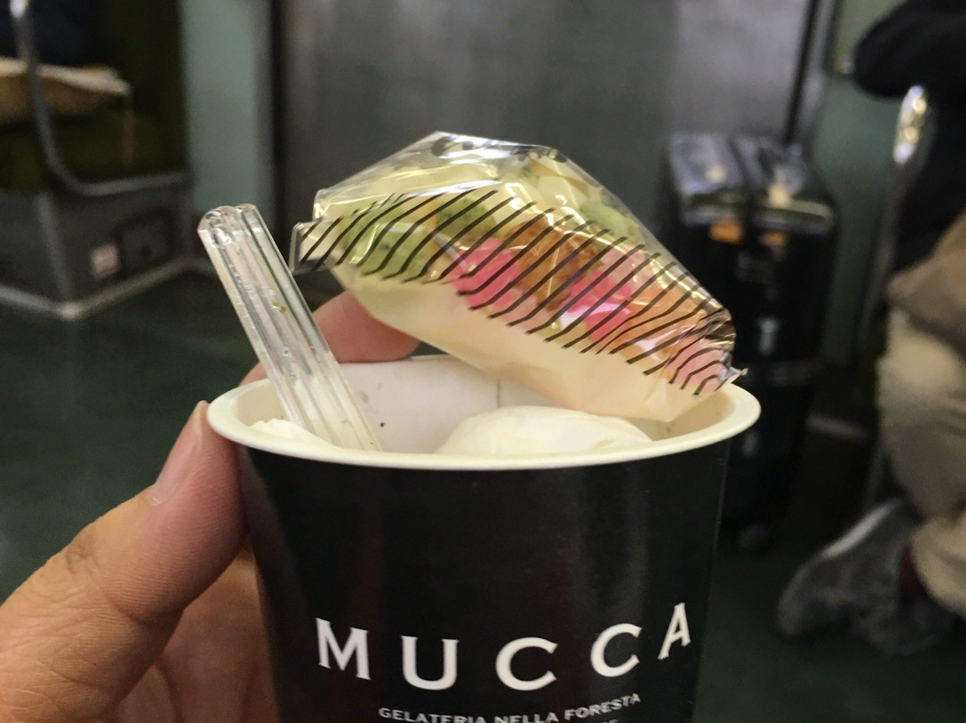 Mucca こんぴら店