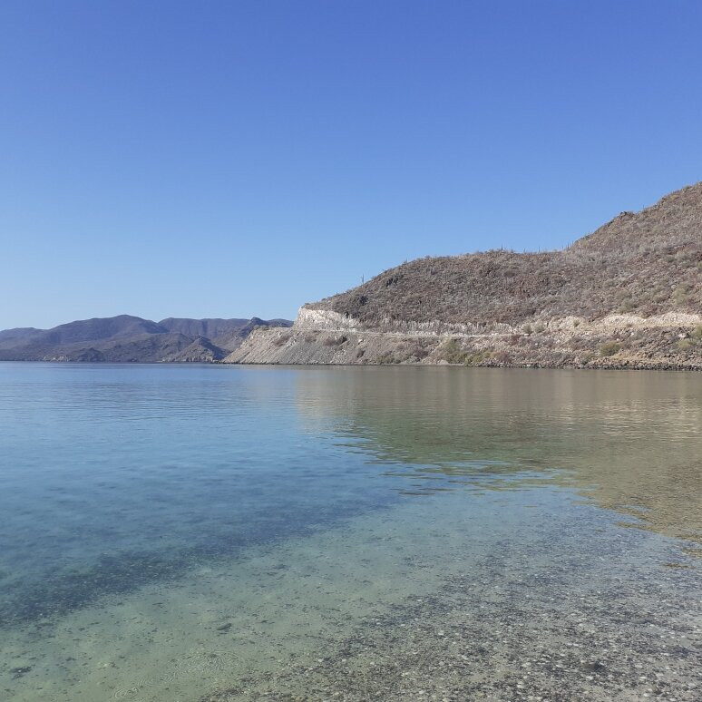 Playa Los Cocos景点图片