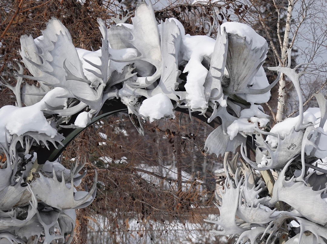 Antler Arch-费尔班克斯必去景点