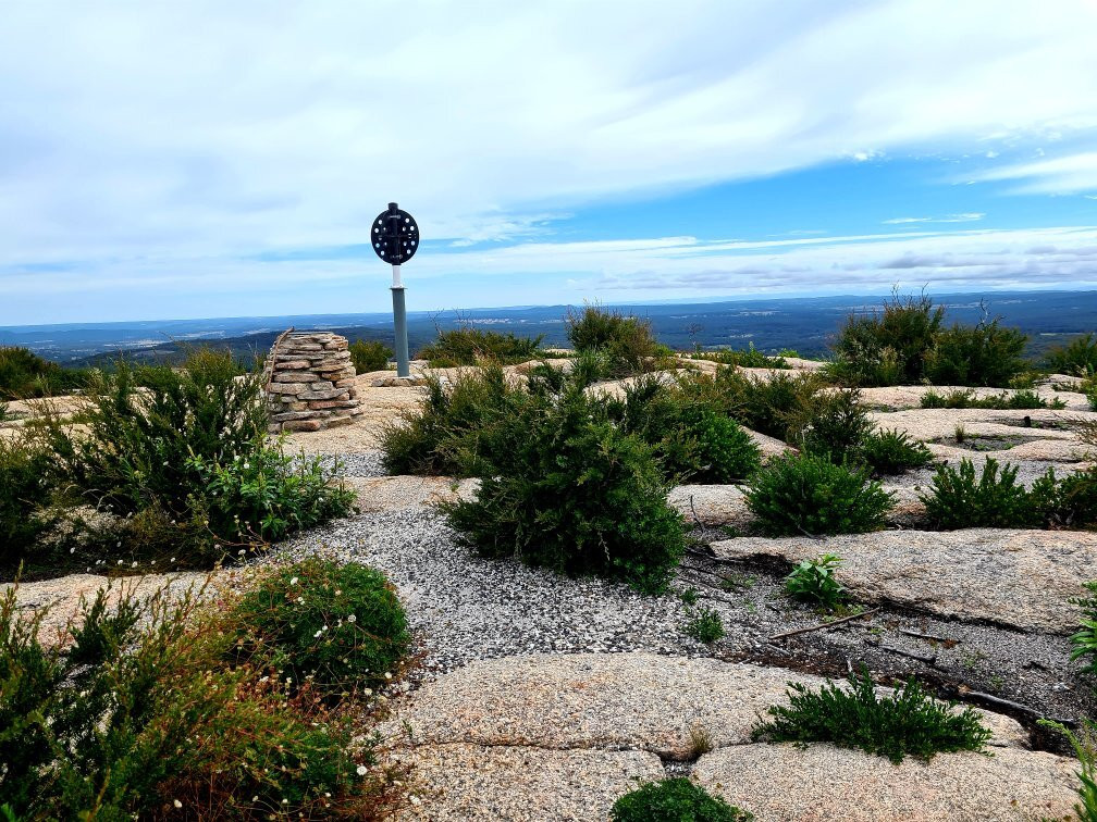Bald Rock National Park景点图片