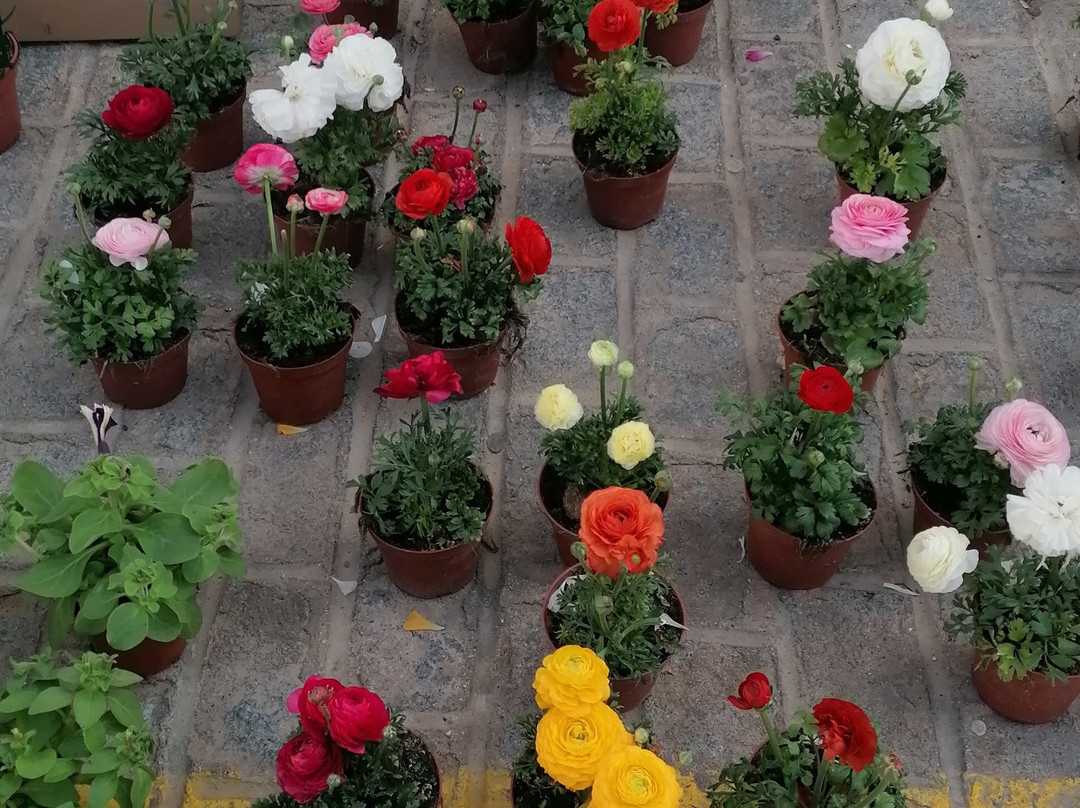 Hotel Rural Finca La Herencia主图