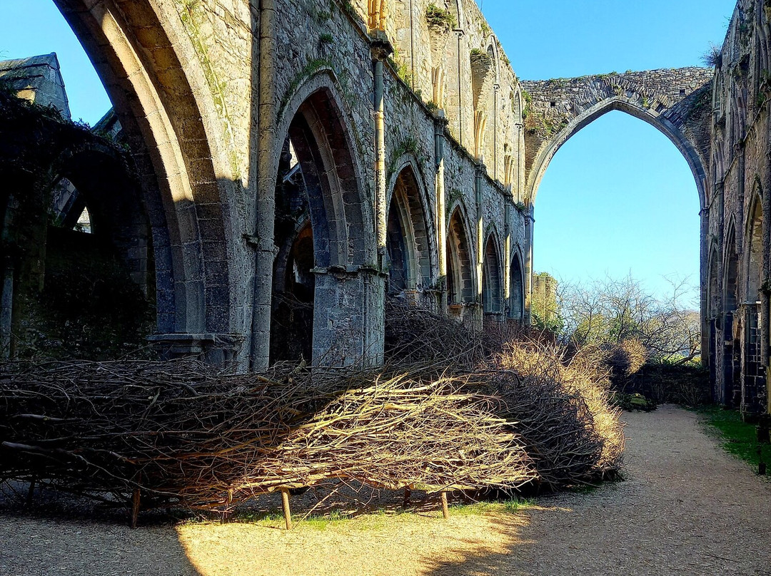 Abbaye de Beauport景点图片