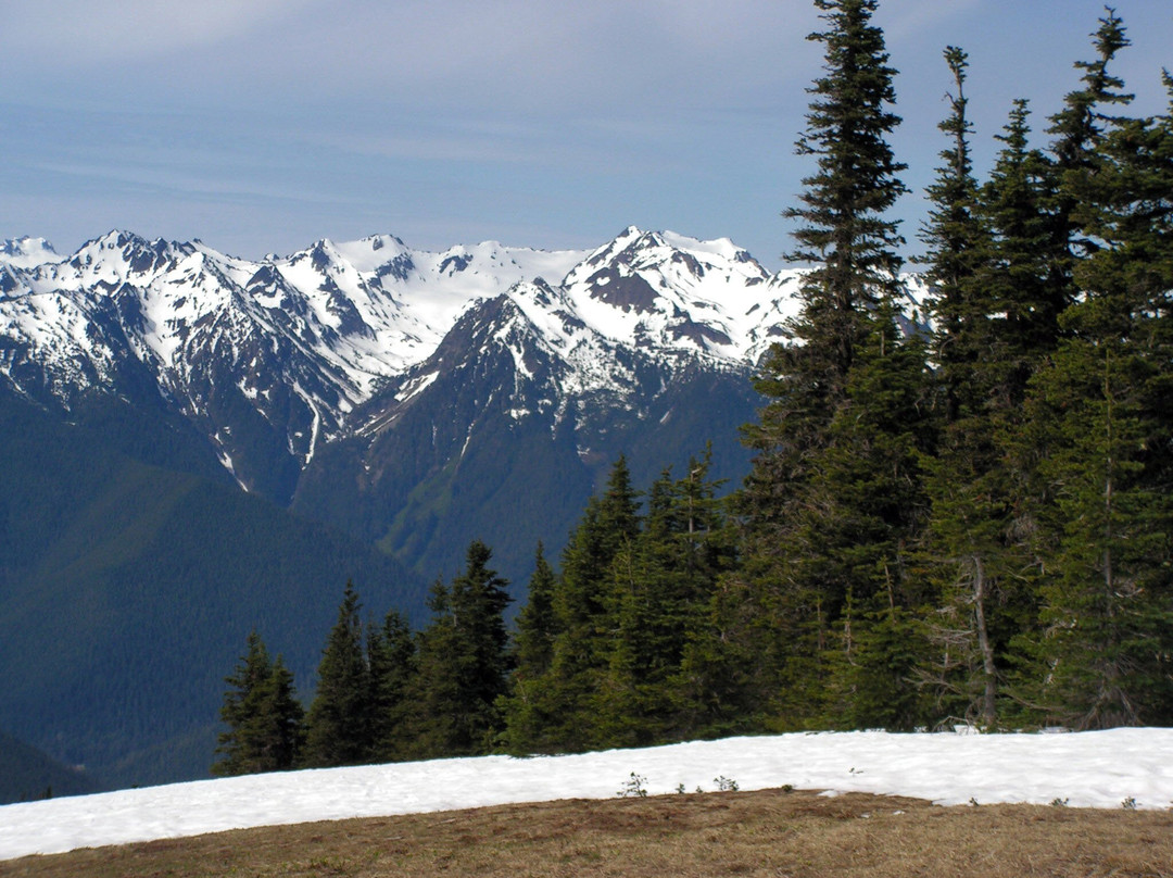 Hurricane Ridge Visitors Center-奥林匹克国家公园必去景点