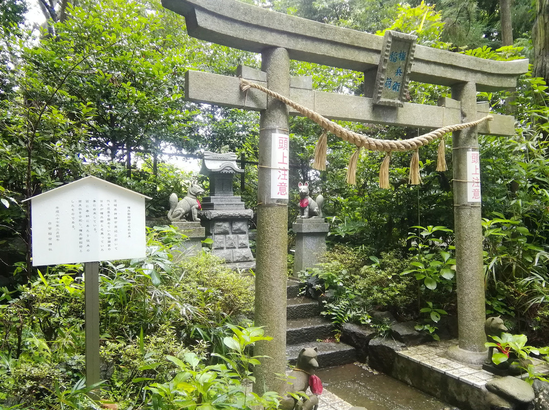 Shirasasainari Shrine-秦野市必去景点