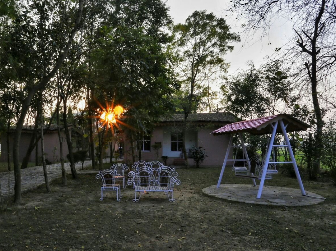 Ashoka Tiger Trail主图