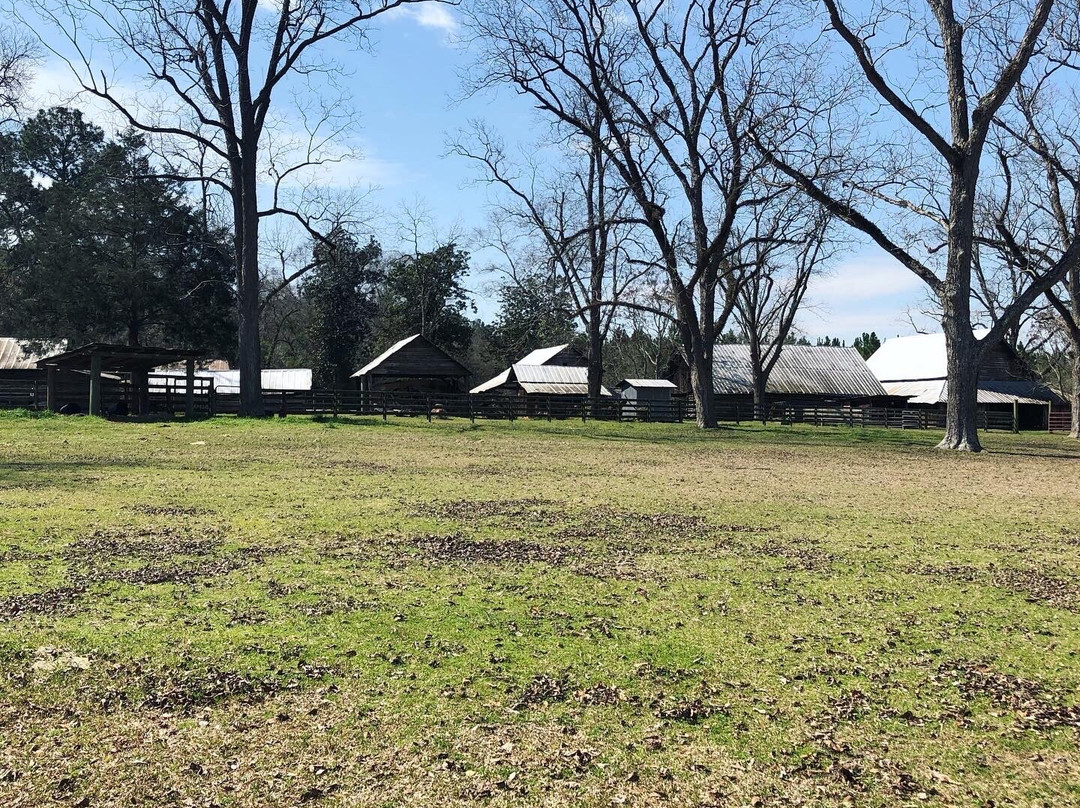 Watermelon Creek Vineyard-Glennville必去景点