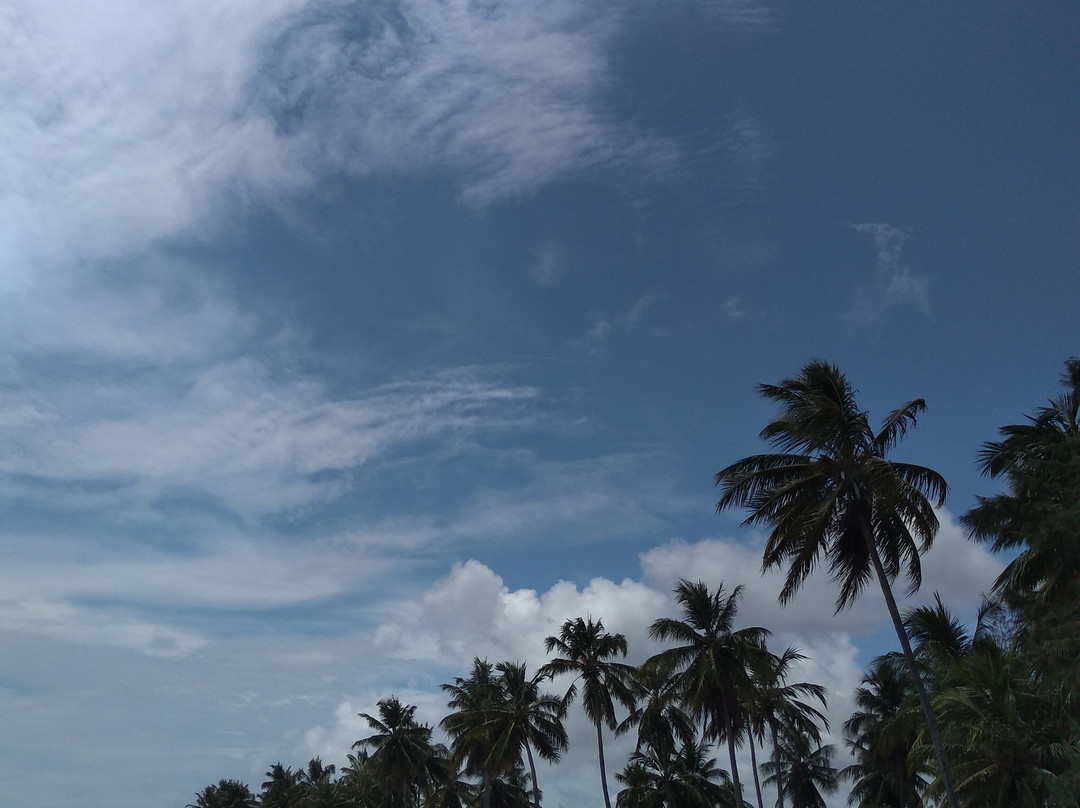 Praia de São Miguel dos Milagres-Sao Miguel dos Milagres必去景点