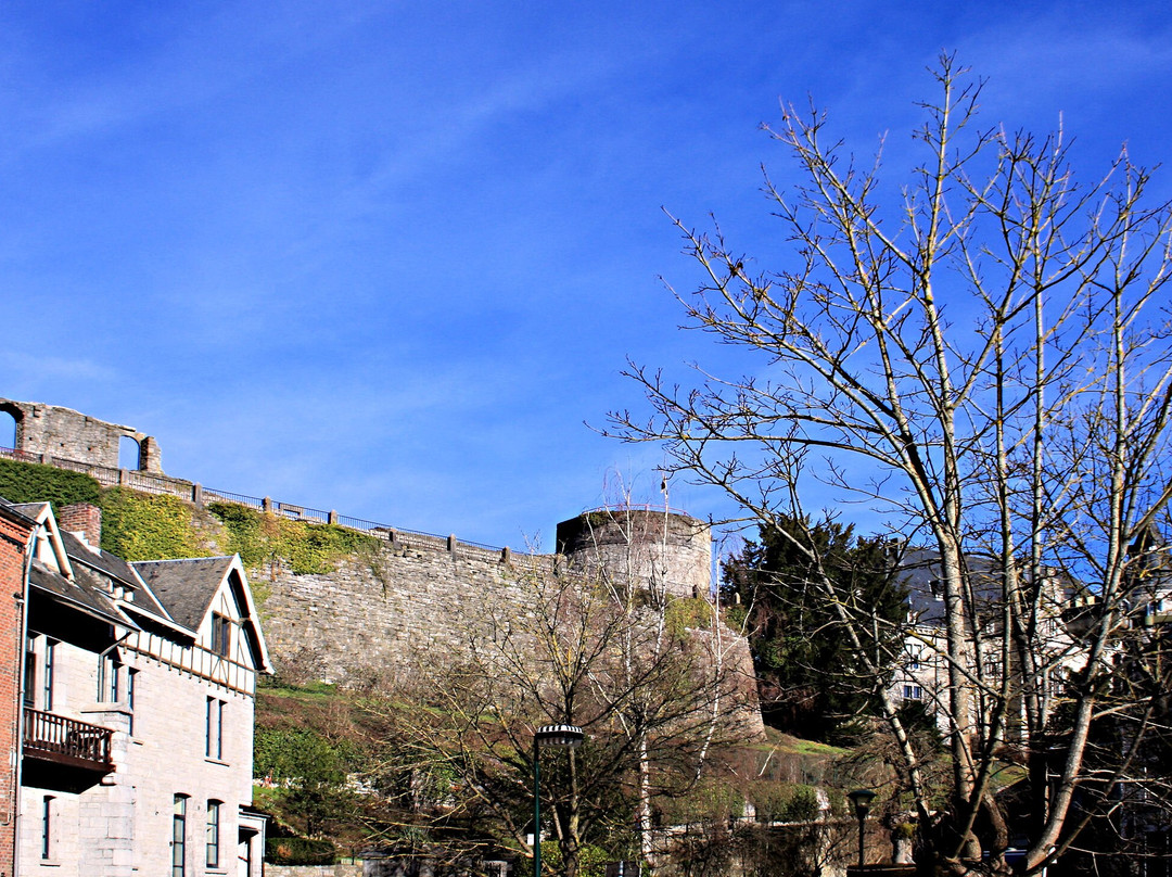 Ruins of the Castle of the Counts景点图片