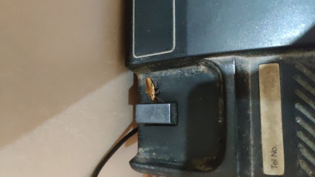 FabHotel Black Diamond-官方