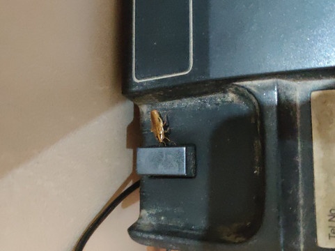 FabHotel Black Diamond主图