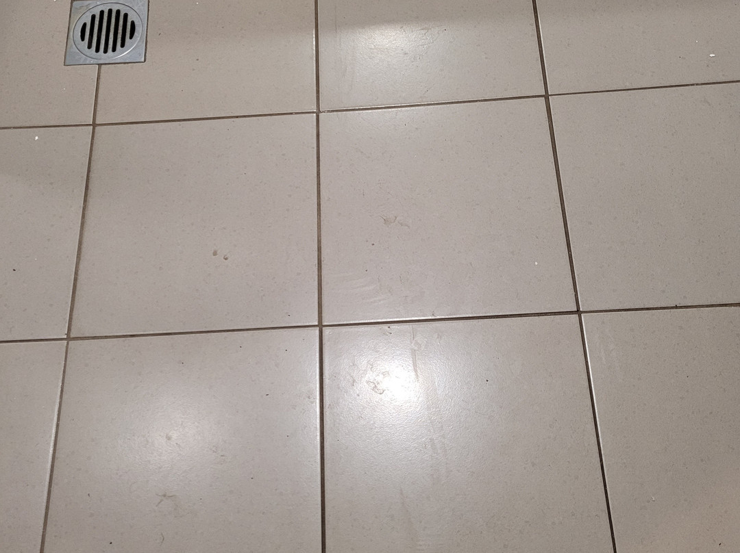 棕榈岛汽车旅馆主图