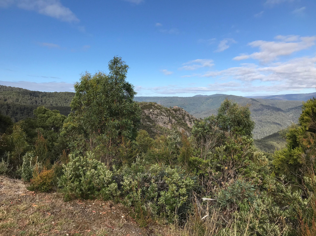 Round Mountain Lookout-Gowrie Park必去景点