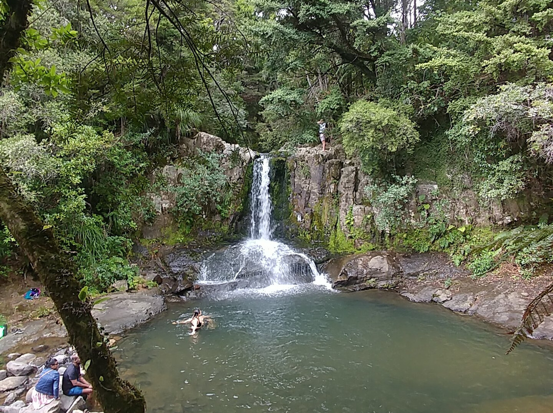 Waiau Falls Walk景点图片