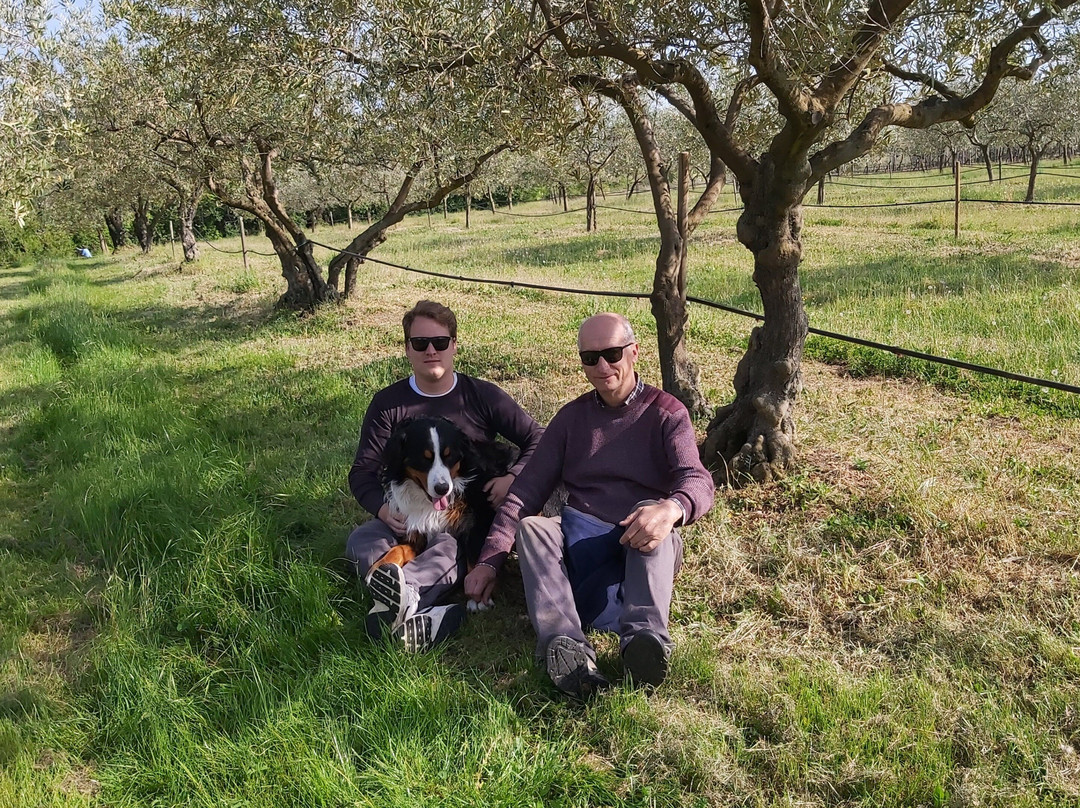 Olivo Istriano: Authentic Istrian family farm, guided walk, foods & wine-布延必去景点