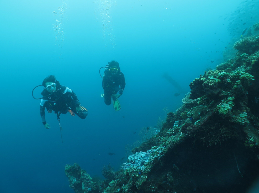Bali Scuba Course-图兰本必去景点