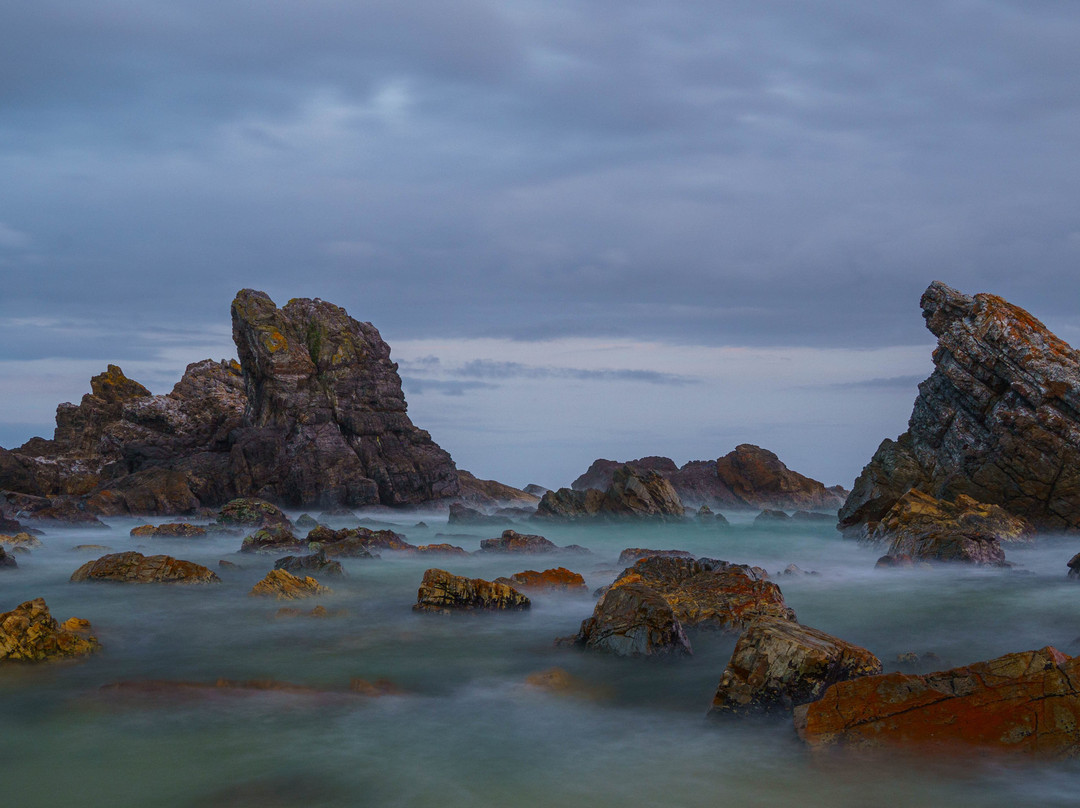 Burgess Beach,  Forster景点图片