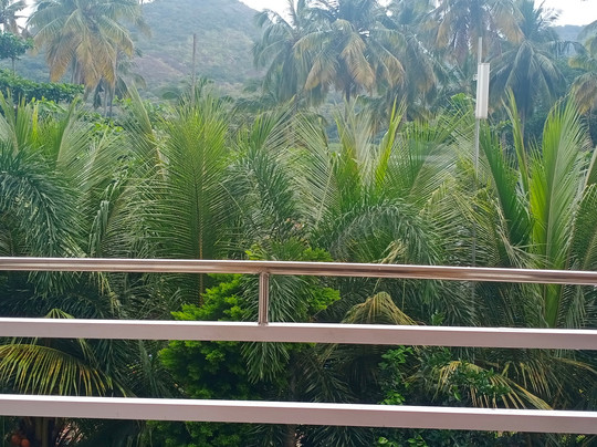 Orchard Valley Resort主图