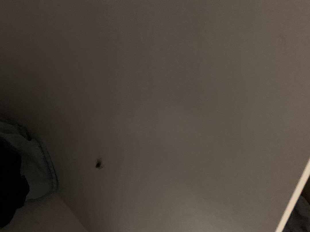 Blue Pelican Motel主图